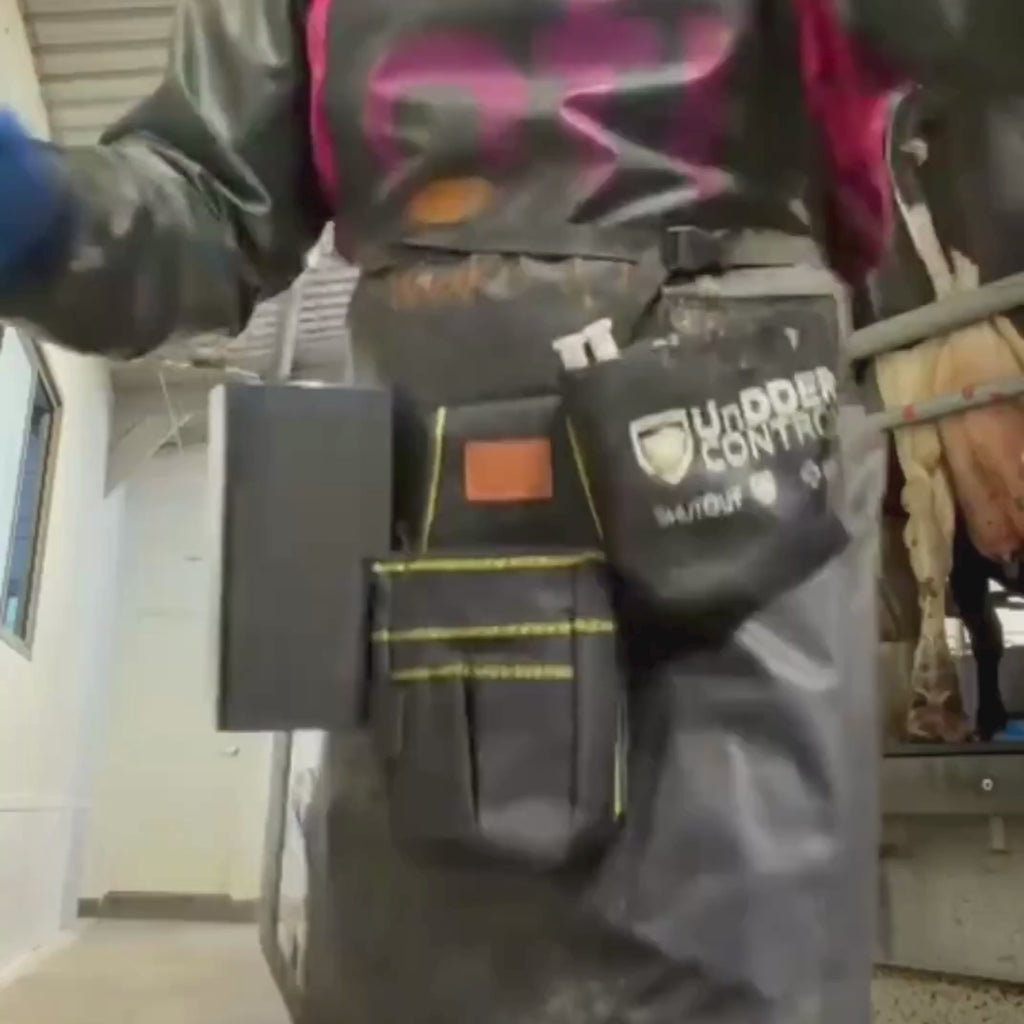 Tub and Pouch Toolbelt